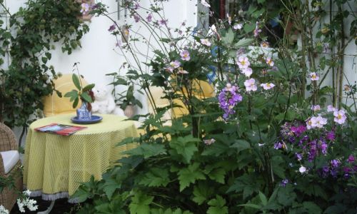 Gemütliche Pausen zwischen Anemonen und Phlox