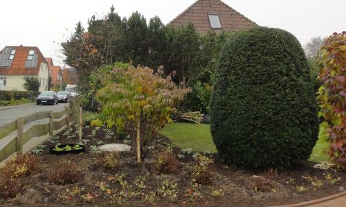 Neue Formen für einen Cottage-Garten
